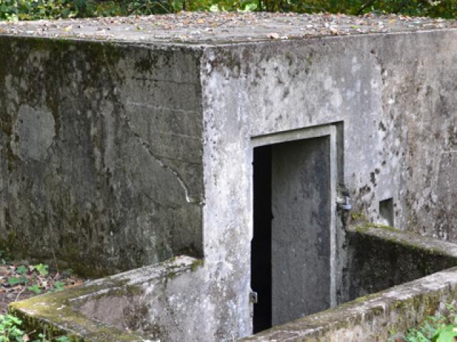 Visite guidée en véhicule d'époque sur les traces de la Seconde Guerre Mondiale à Houffalize